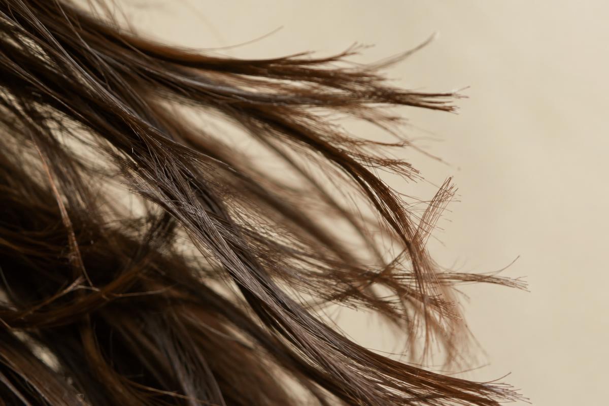 Split Ends: When Is It Time for a Trim?